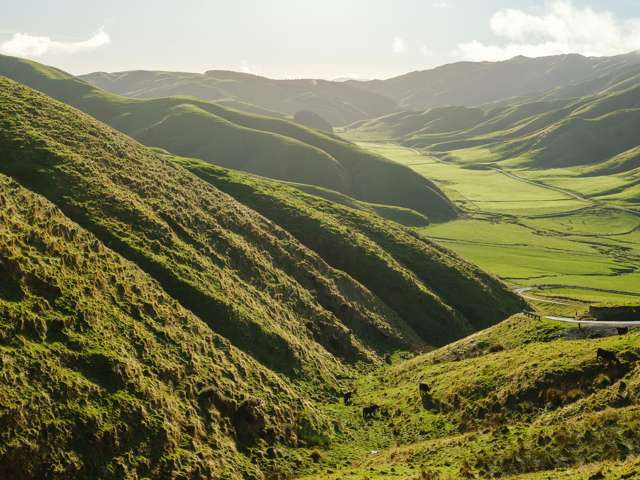 292 Boom Rock Road Ohariu_2