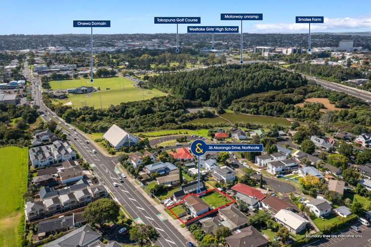 36 Akoranga Drive Northcote_9