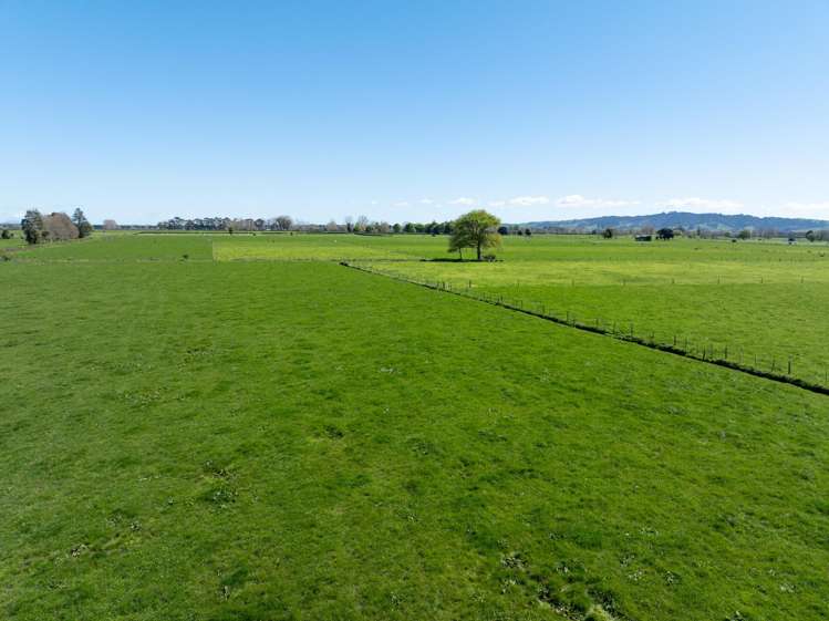 64 No 4 Road Morrinsville_15