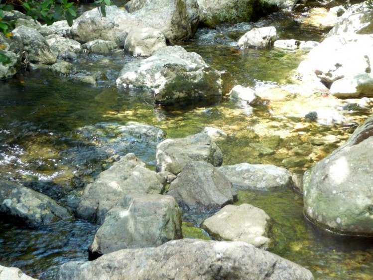 North West Bay Marlborough_7