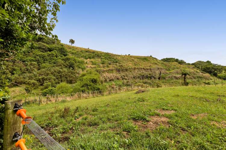 538 Everett Road Inglewood_25