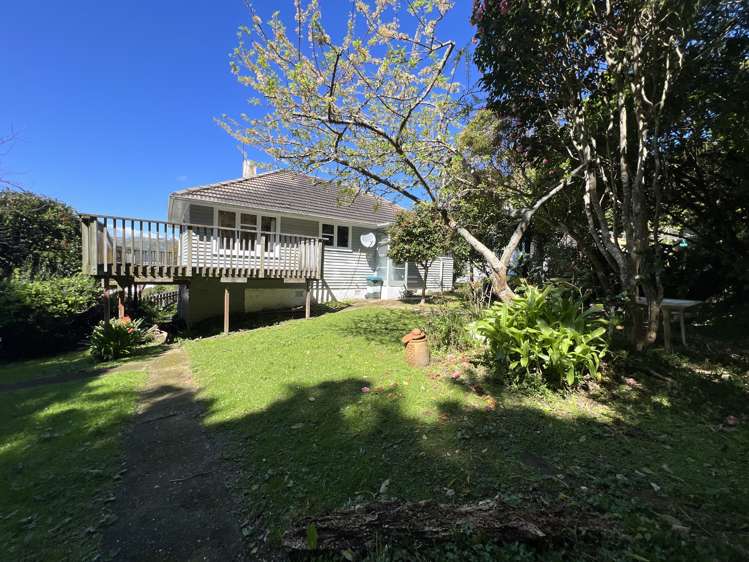 20 Waiho Terrace_5