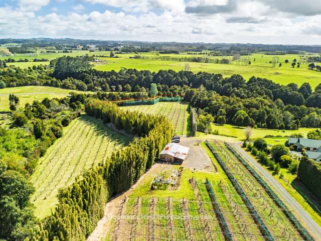 43e Blue Gum Lane Kerikeri_2