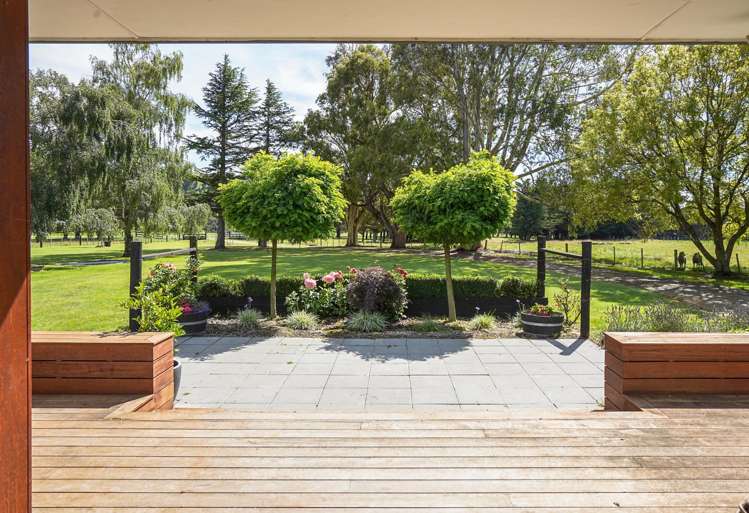 379 Pyramid Valley Road Pyramid Valley_2