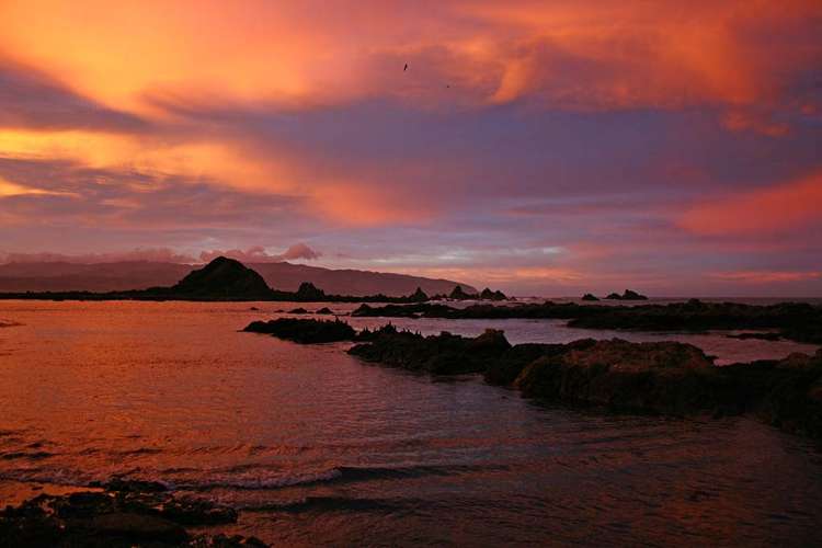 354 The Esplanade Island Bay_15