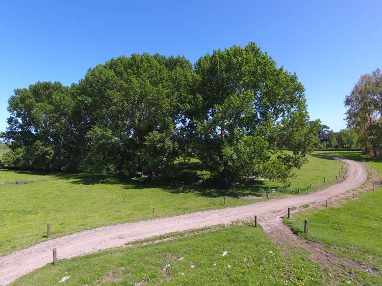 1027 Tauranga Road Te Poi_11