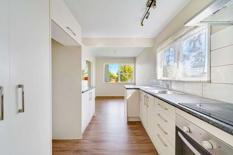 28 Kudu Road Otara_4