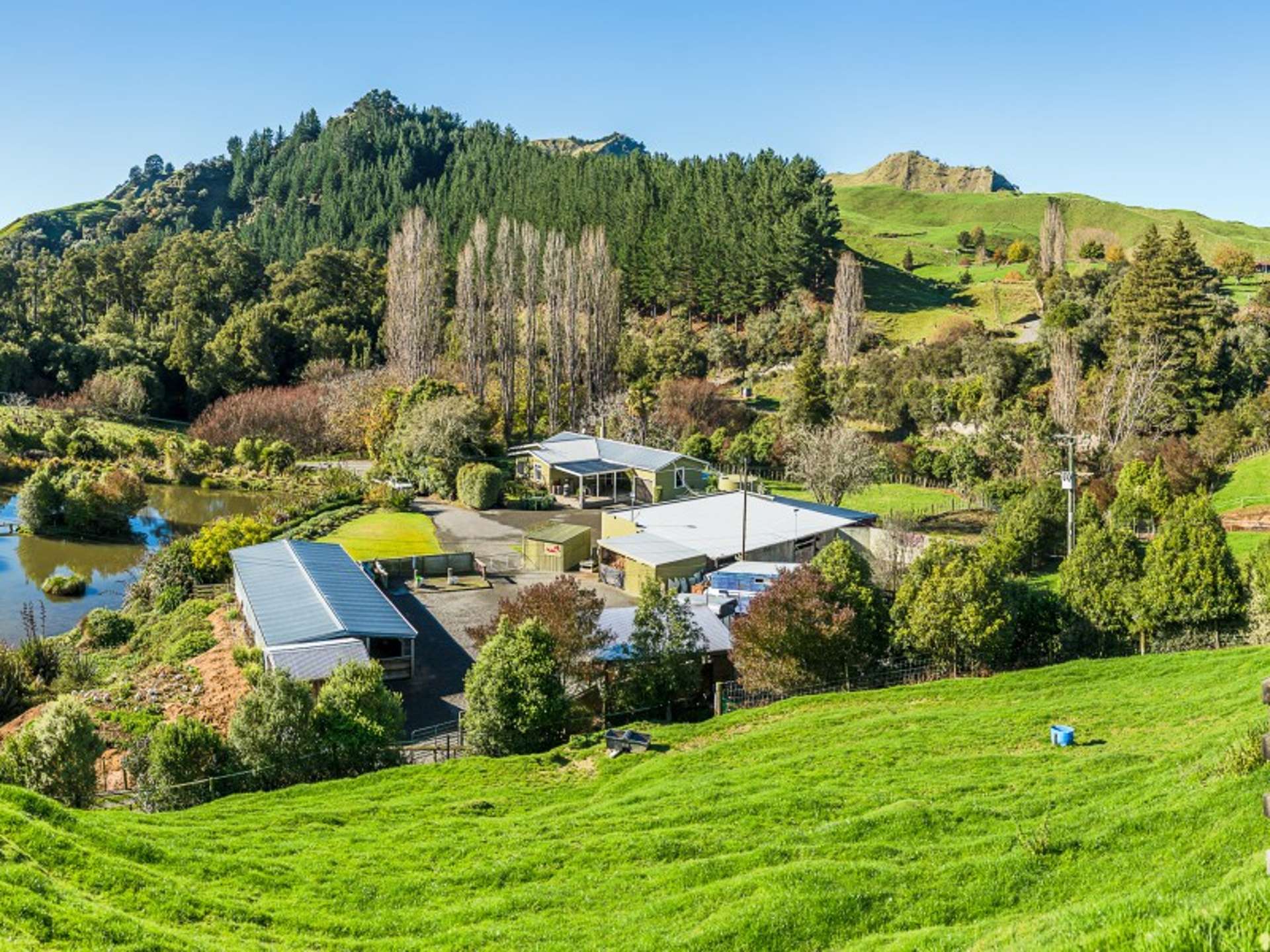 5785 Turakina Valley Road Hunterville_0