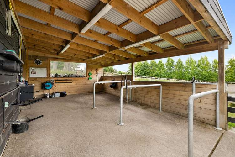 39 Glenmore Road Coatesville_13