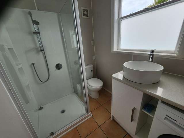  10 Pitt Street Wadestown_3