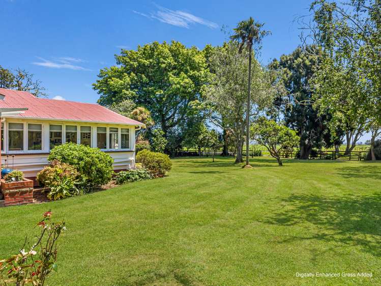 30 Colebrook Road Edgecumbe_29