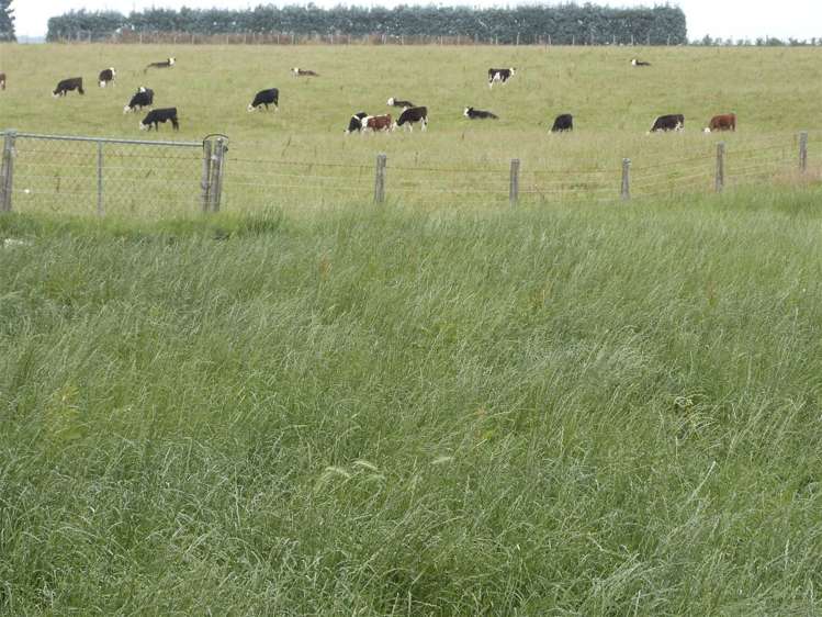 219 Robertson Road Winton Surrounds_34