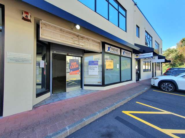 Unit 4/375 Khyber Pass Road Newmarket_1