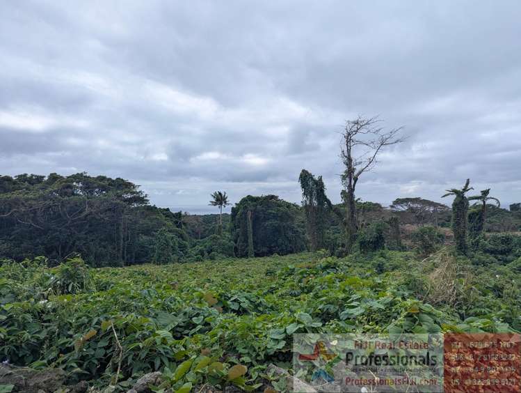 Address withheld Taveuni_19