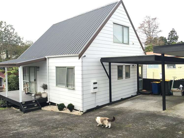 121b Seabrook Avenue New Lynn_0