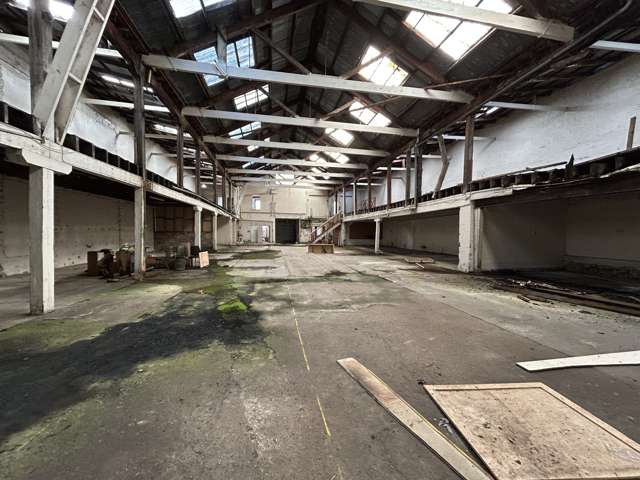 61 Maclaggan Street Dunedin Central_4