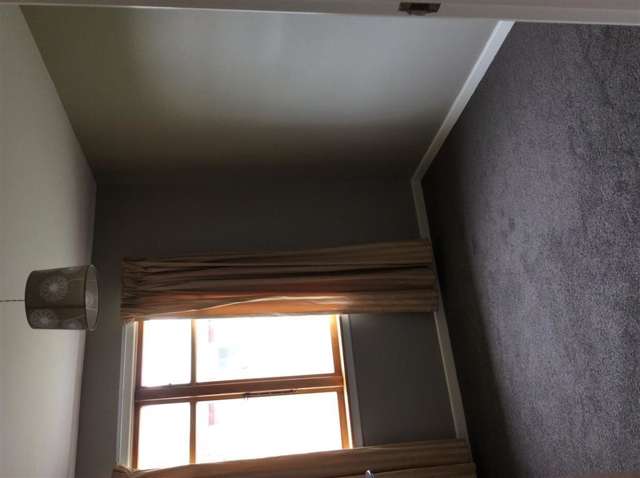 89 George Street Tinwald_4