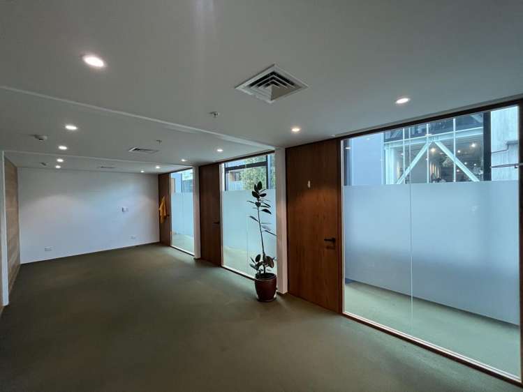 5 Crummer Road Grey Lynn_8