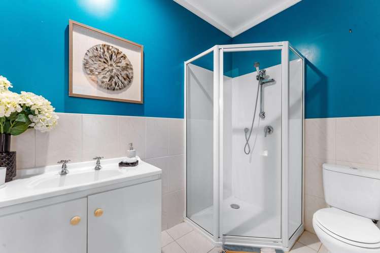 35 Saint Jude Street Avondale_15