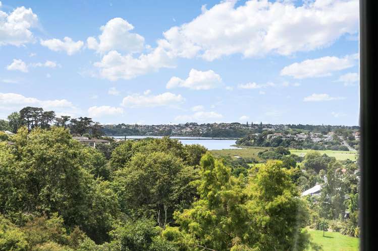 3D Laxon Terrace Remuera_28