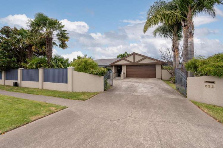 222 Guppy Road Taradale_1