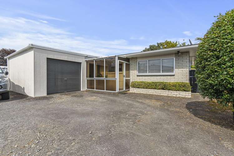 194A Carrington Street Vogeltown_22
