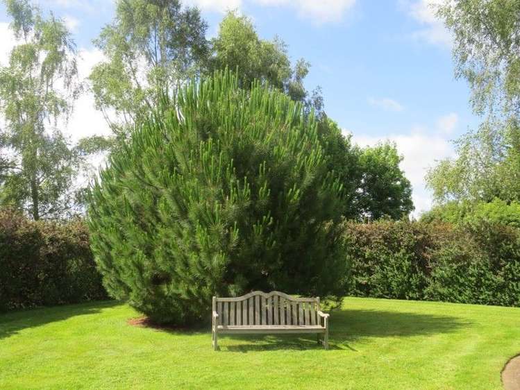 111 Tarr Road Ohaupo_28