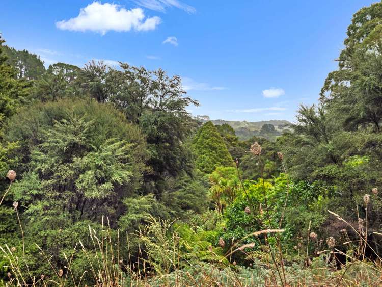 176 Oneil Road Kaukapakapa_21