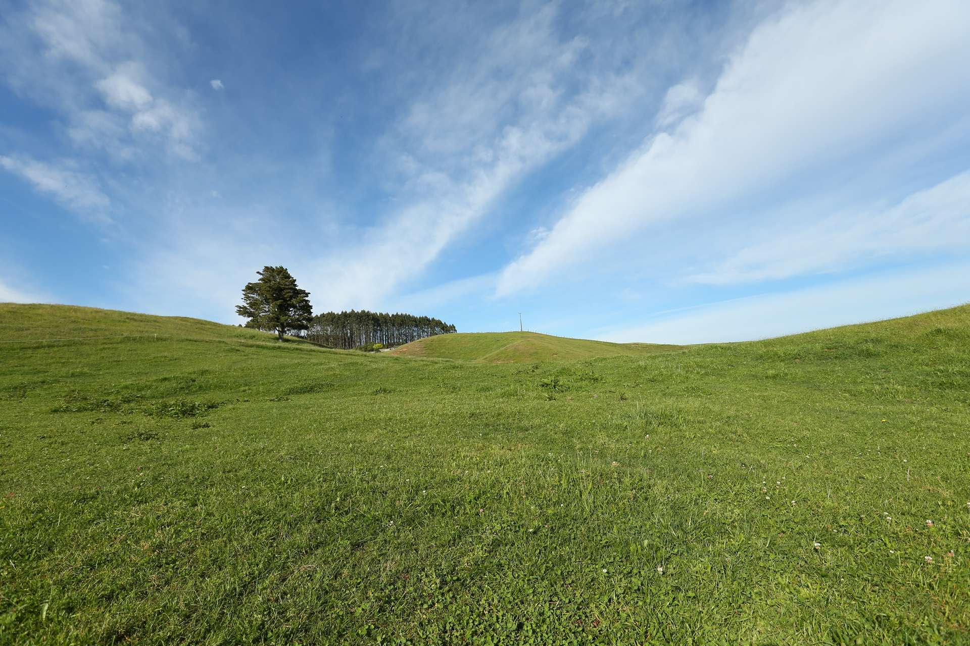 Lot 1 1461 Poihipi Road Oruanui_0