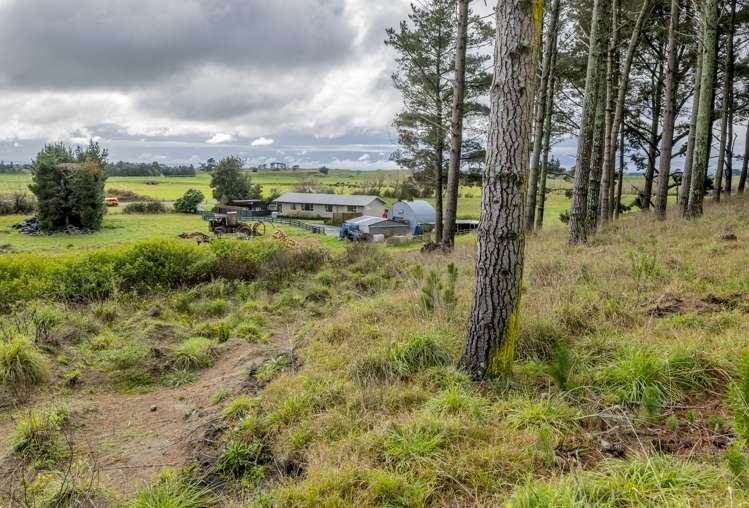 500 Foxton Shannon Road Foxton_19