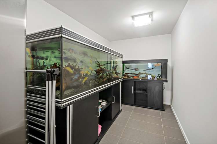 249a Saint Johns Road Saint Johns_14