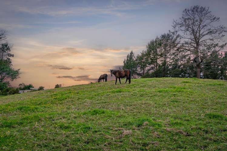 325 Hepburn Creek Road Warkworth_14