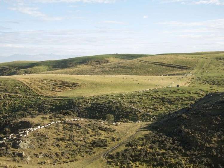 126 Mcphersons Road Taiko_5