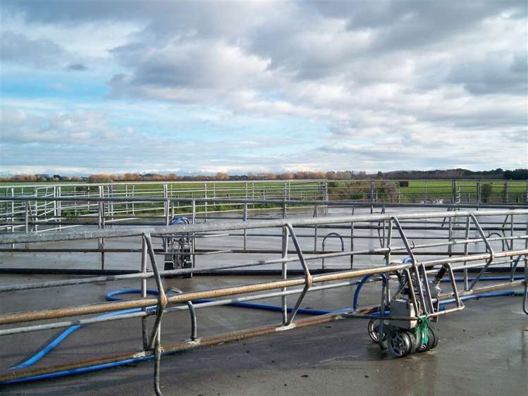 449 Greenpark Road Springston_10