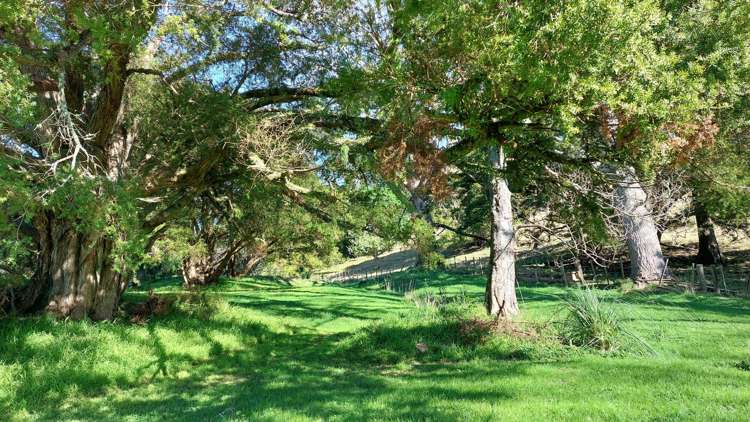 39 Gorge Road Maungaturoto_11