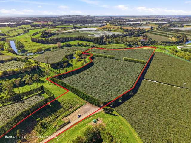 206 Casuarina Drive Te Puke_1