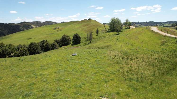 95 Mason Road Maromaku_10