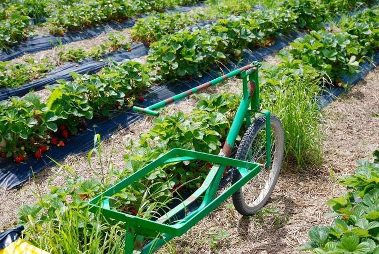 134 Timaru Road Waimate_15