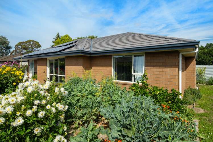63C Nelson Street Springlands_11