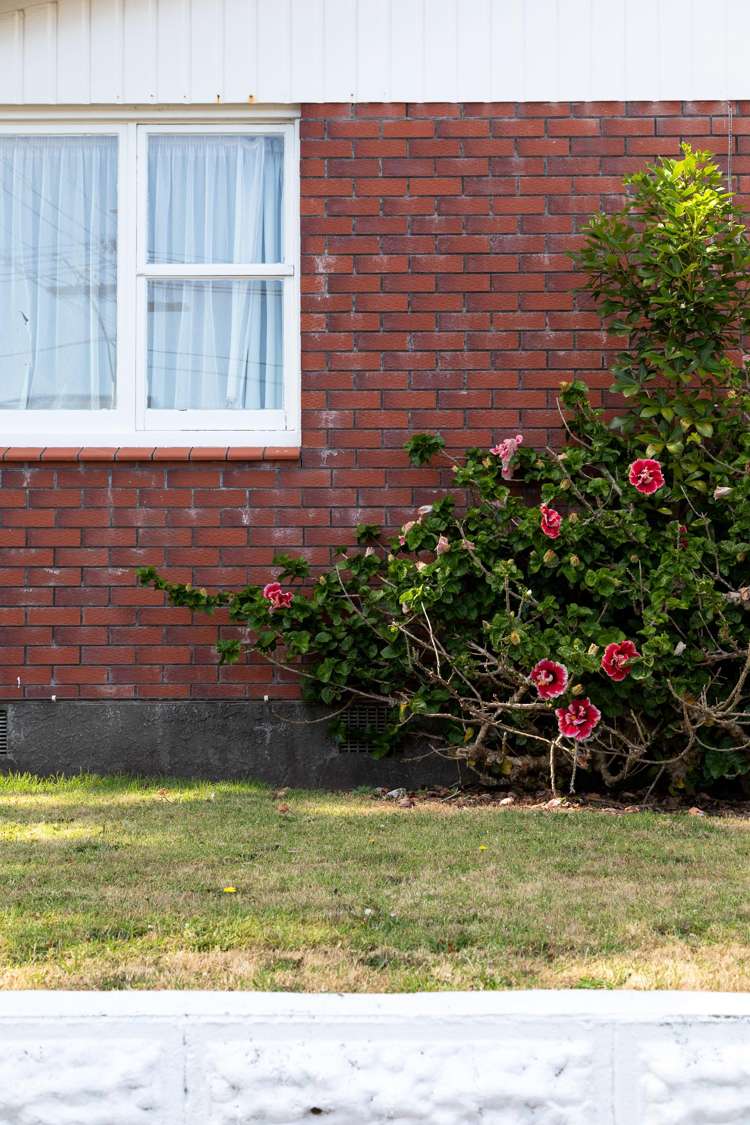 1/67 Young Street New Plymouth Central_14