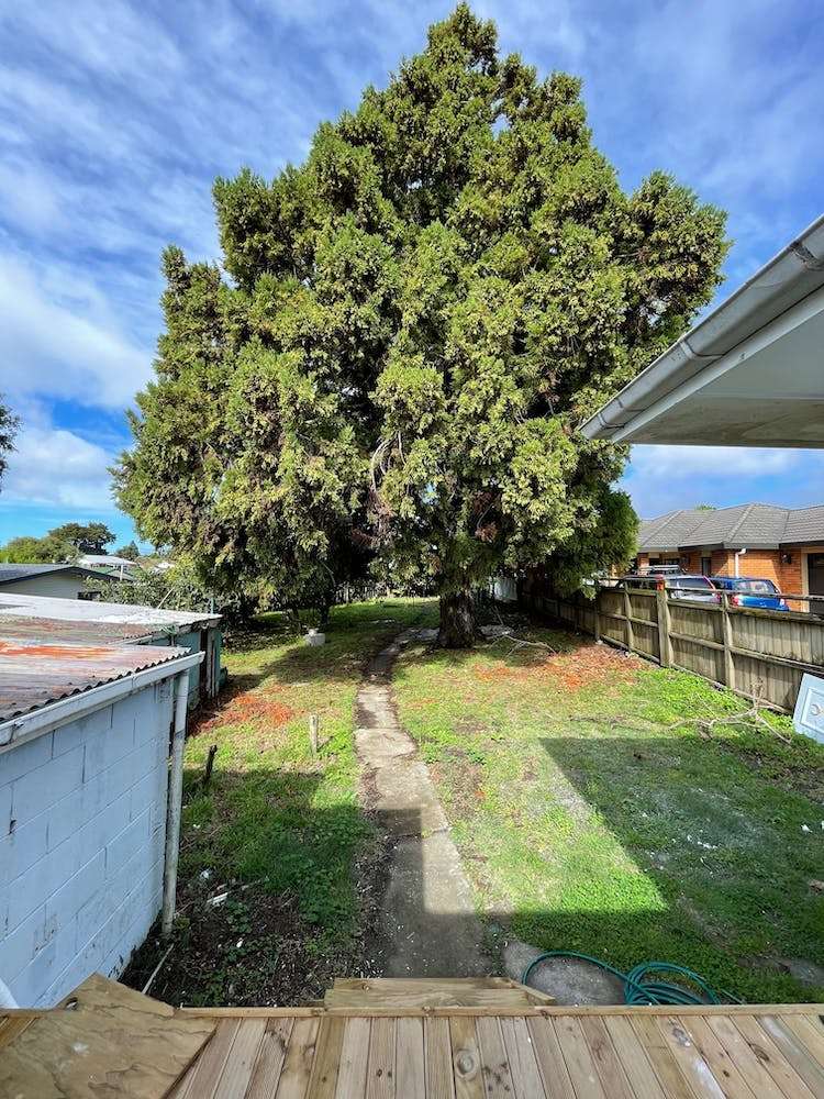 8 Brains Road Kelston_8