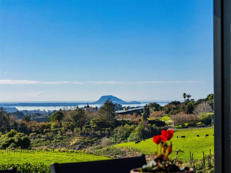 533 Wainui South Road Whakamarama_27