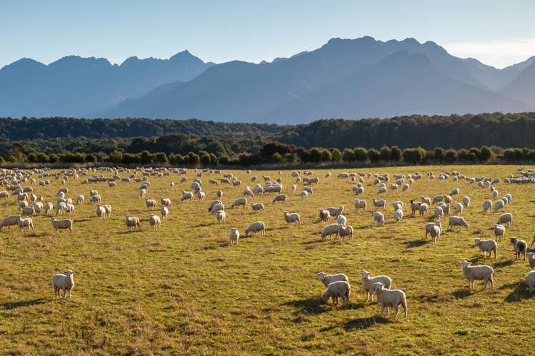 1223 Manapouri Te Anau Highway_0