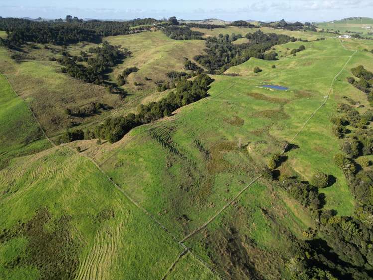 583 Lusk Road Ruawai_12