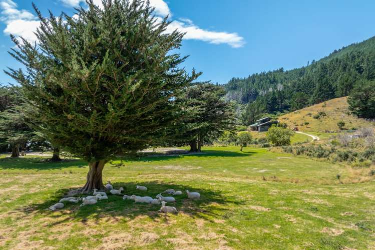 528 Oyster Bay Marlborough Sounds_60