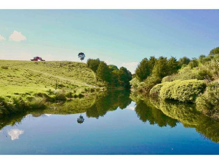 96 River Drive Kerikeri_20