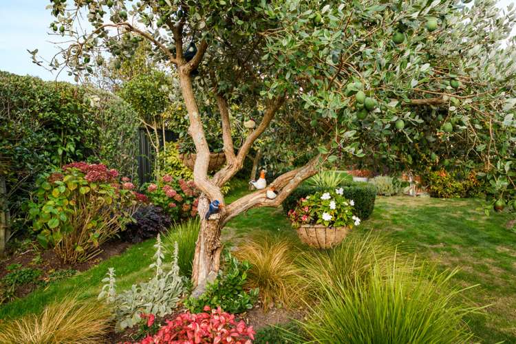 17 Suffolk Crescent Feilding_18