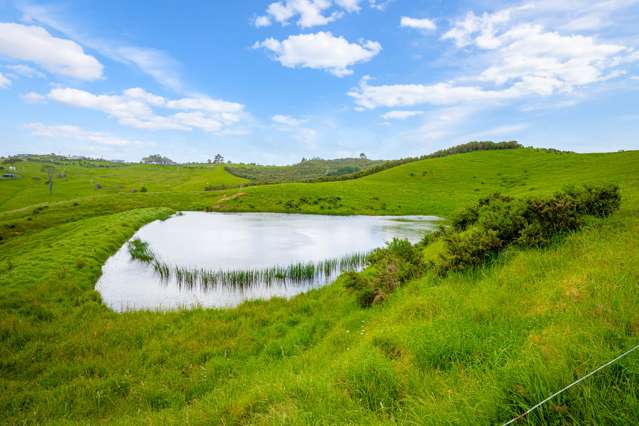 515 Kahikatea Flat Road Waitoki_4