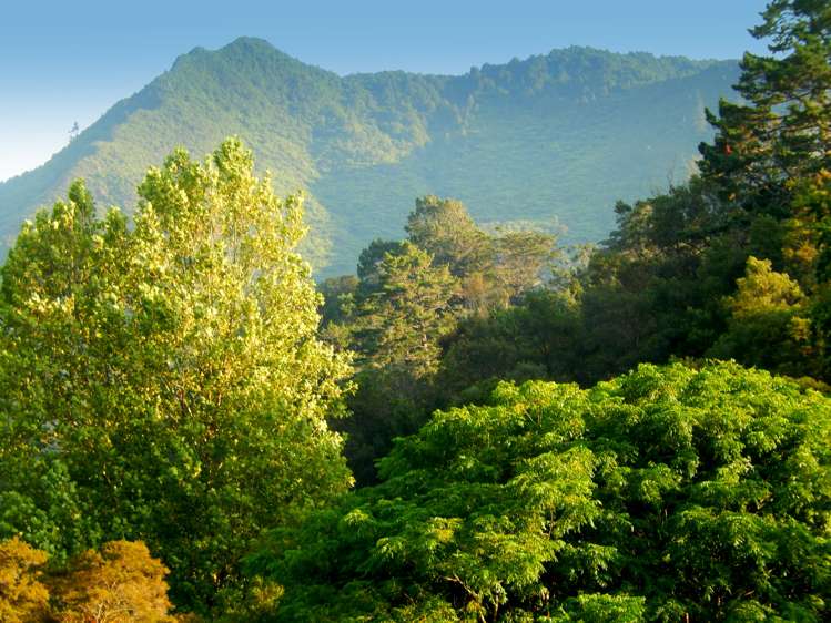 39 River Road Paeroa_21