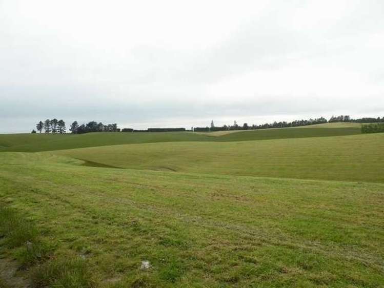 249 Ashley Downs Road Clinton and Surrounds_13